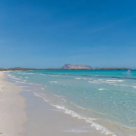 Oasi - Trilo 6 By Interhome * San Teodoro (Sardinia)
